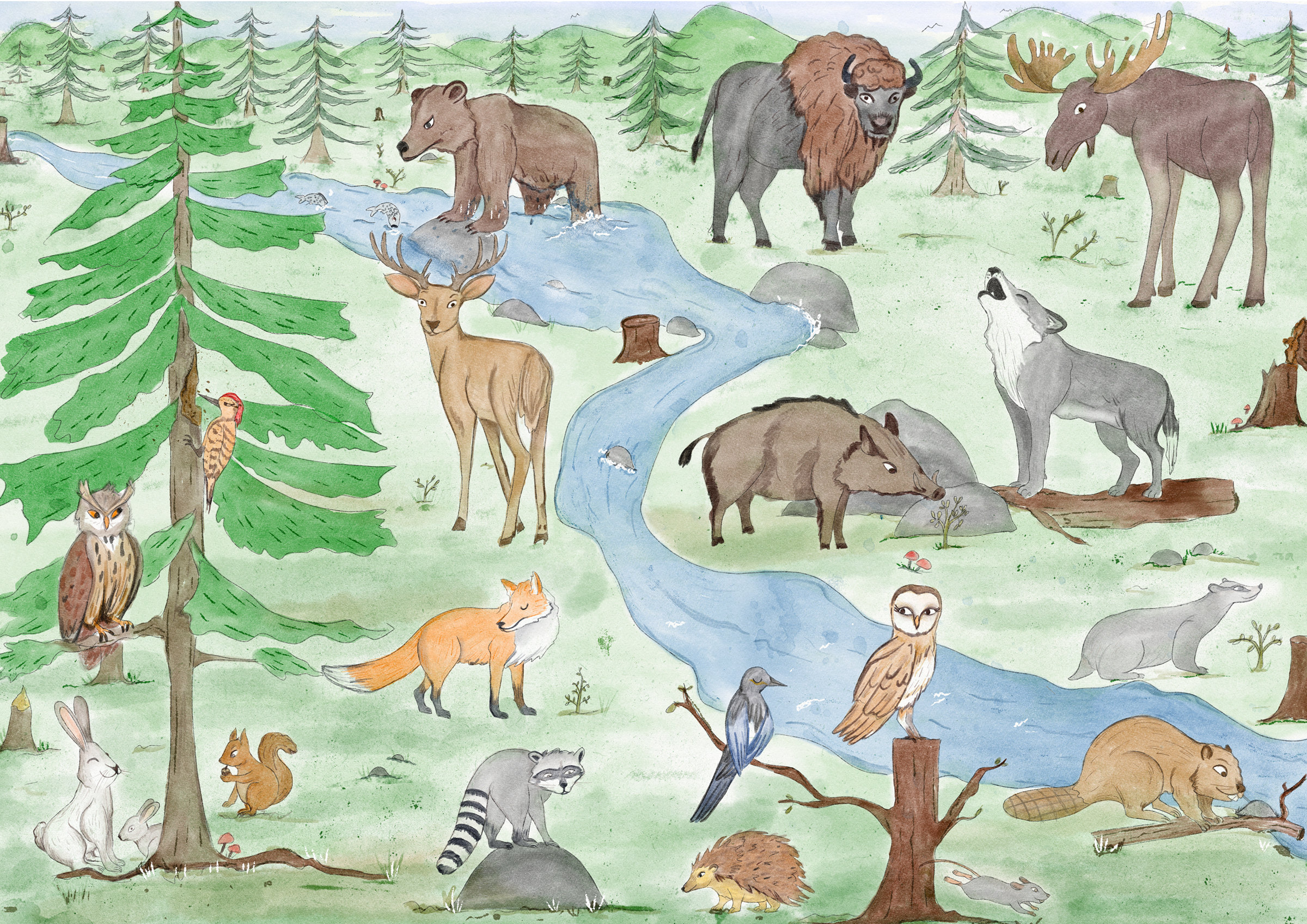 Watercolor forest scene with a river and many wild animals: bear, bison, moose, deer, wolf, fox, owls and a raccoon